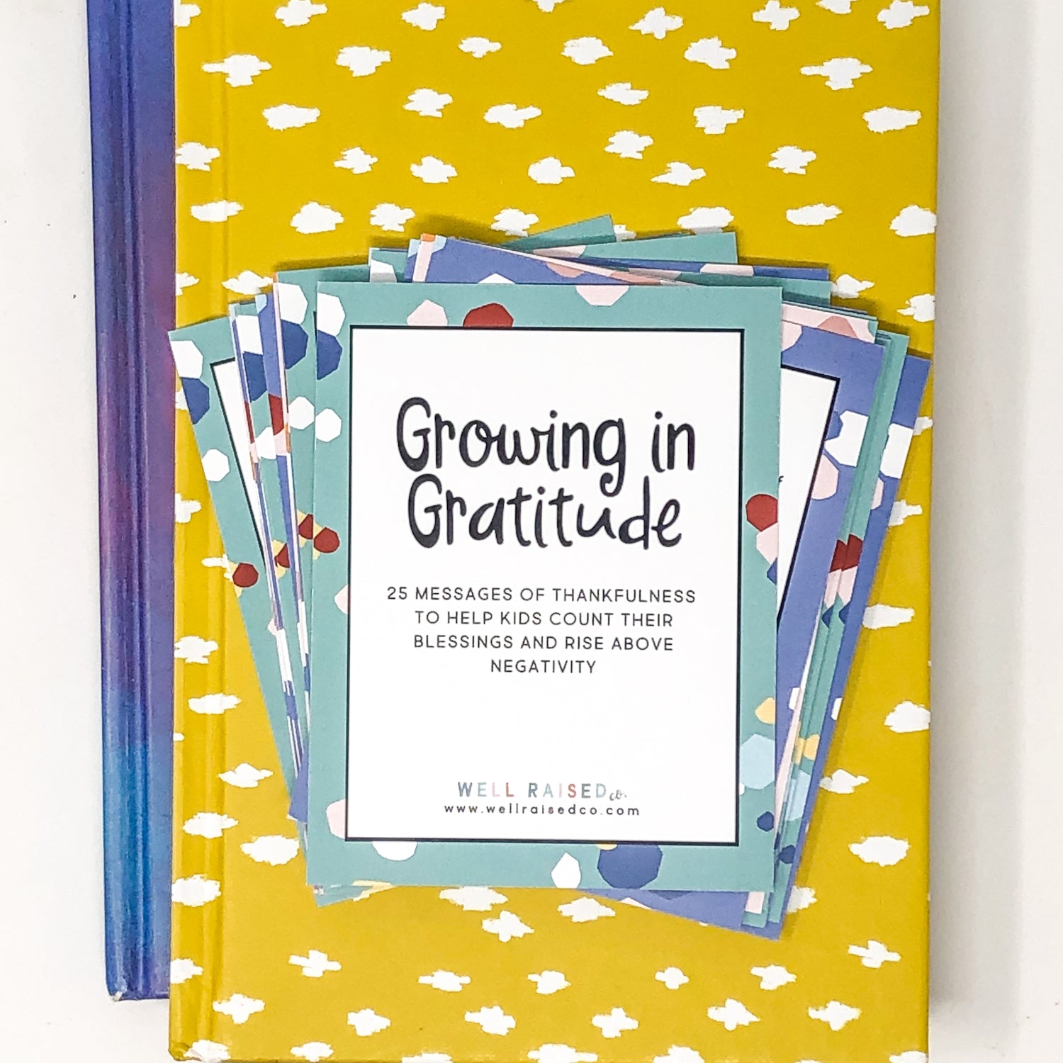 "Growing In Gratitude" - 25 Gratitude Cards for Kids - Well Raised Co.
