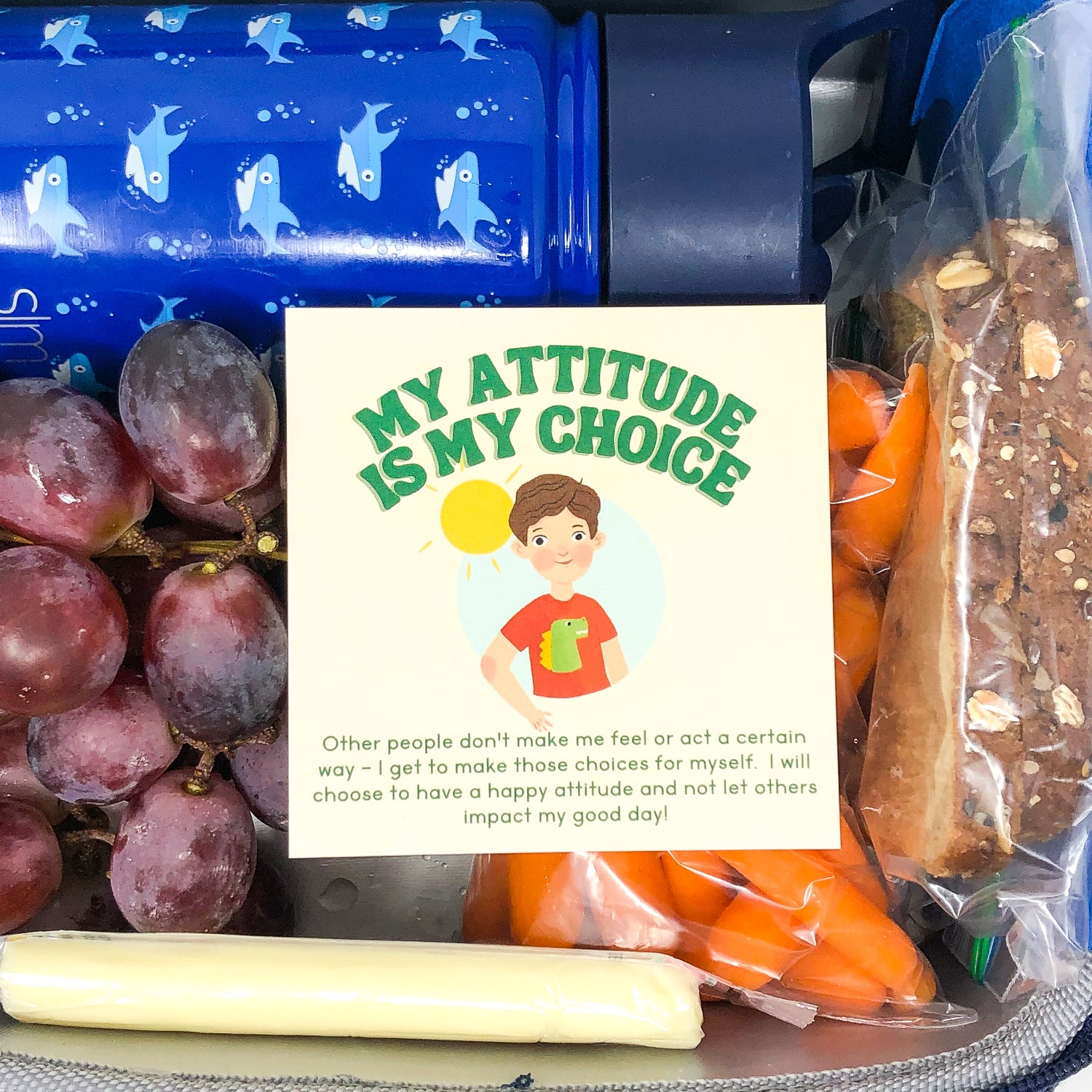 Lunchbox Lift-Me-Ups - Well Raised Co.